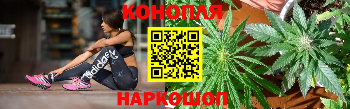 МАРИХУАНА гибрид Касимов